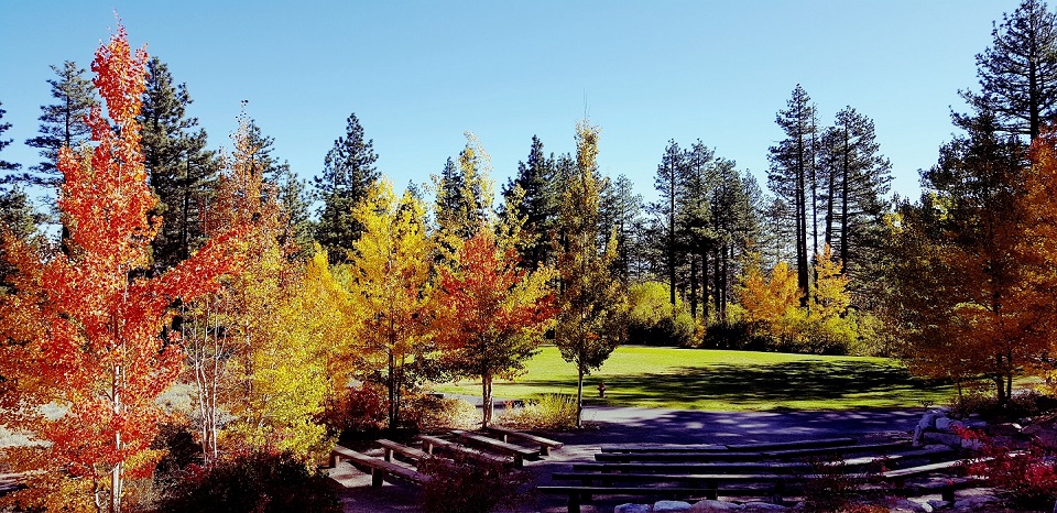 Camp We-Ch-Me Lodge Grounds in fall